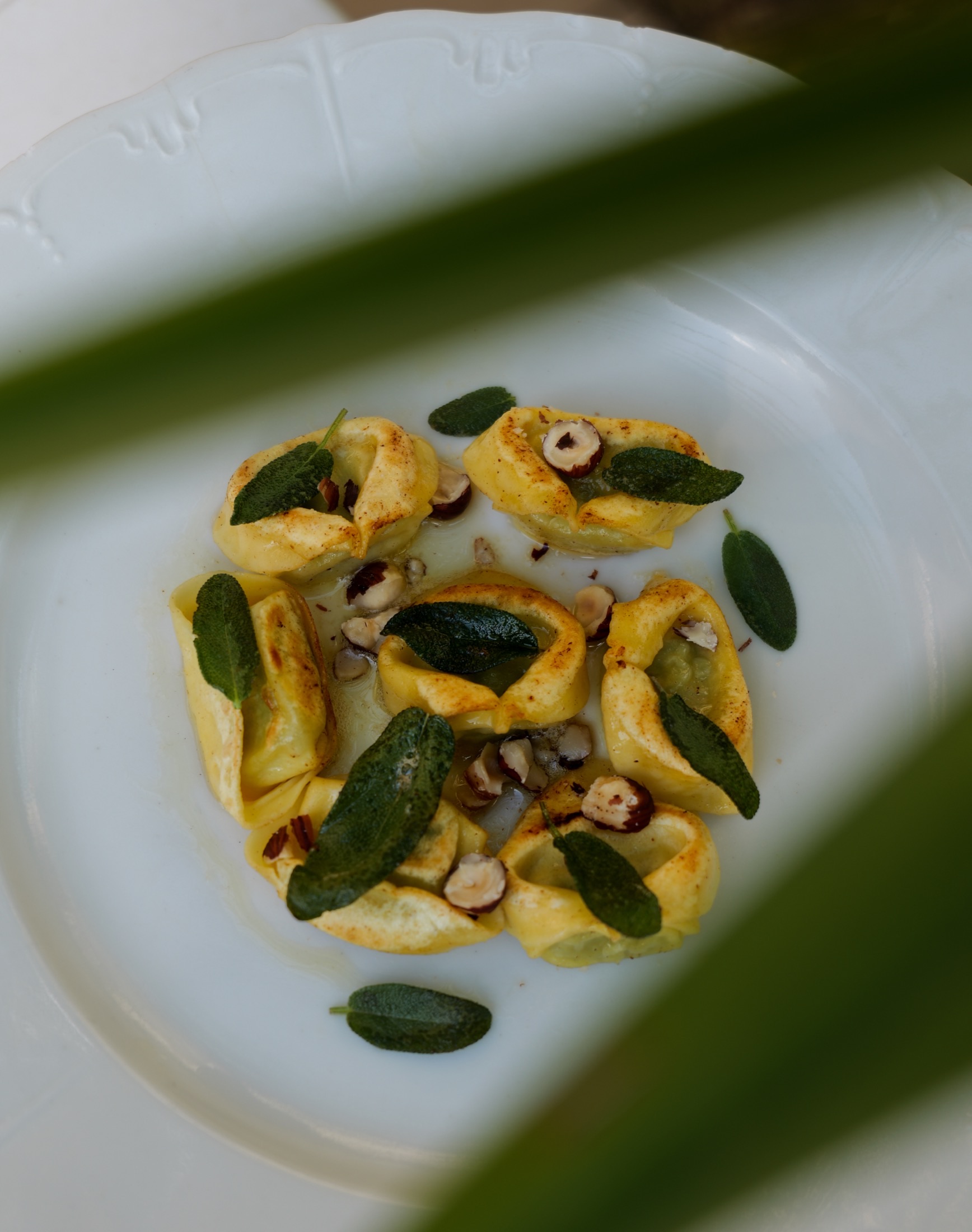 Tortellinis à la sauge, cadrage rapproché avec feuillage au premier plan